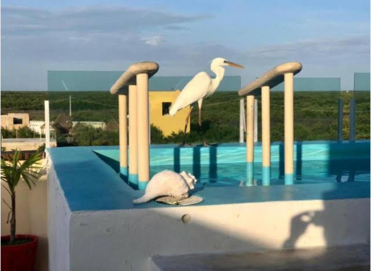 El Corazon Mexican0 Isla Holbox Zewnętrze zdjęcie